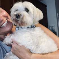 Thumbnail photo of Cotton #2