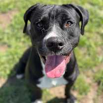 Thumbnail photo of Zuki #3