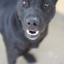 Thumbnail photo of Calira #3