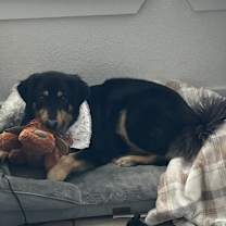 Thumbnail photo of Blu #4