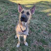 Thumbnail photo of Maddox #4