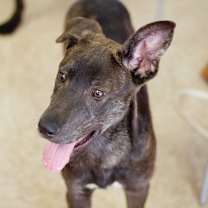 Thumbnail photo of Jason 21073 #2