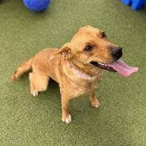 Thumbnail photo of Ella #3
