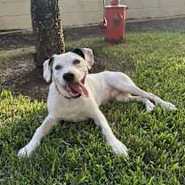 Thumbnail photo of FLASH #2