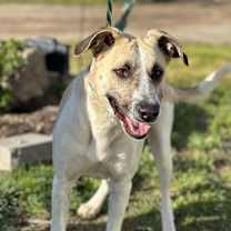 Thumbnail photo of Sunny #2