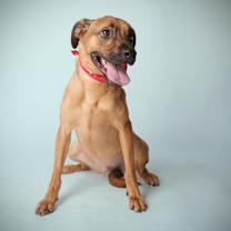 Thumbnail photo of Simon #2
