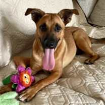 Thumbnail photo of Zadee #2