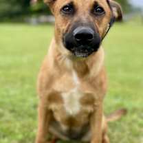 Thumbnail photo of Zadee #3