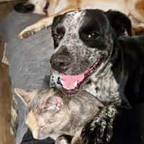 Thumbnail photo of Buddy #2