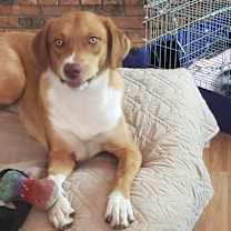 Thumbnail photo of Trinket #2