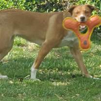 Thumbnail photo of Trinket #4