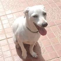 Thumbnail photo of Nube #3