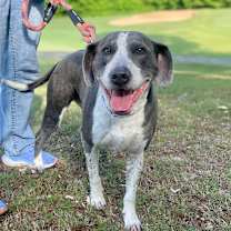 Thumbnail photo of Liam #1