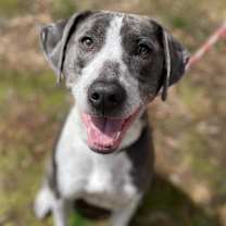 Thumbnail photo of Liam #2