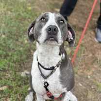 Thumbnail photo of Liam #4