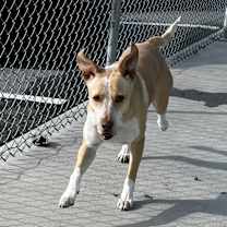 Thumbnail photo of Happy #2