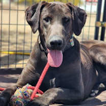 Thumbnail photo of Max #1