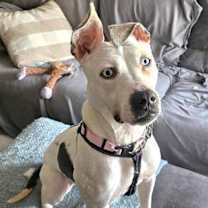 Thumbnail photo of LEXIE #2