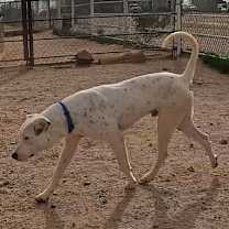 Thumbnail photo of Paper #4