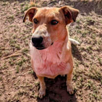 Thumbnail photo of AIDEN #2