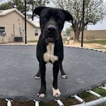 Thumbnail photo of Jacob #1