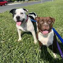 Thumbnail photo of Bumi and Marcelina #1