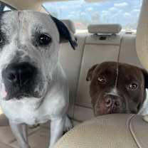 Thumbnail photo of Bumi and Marcelina #2