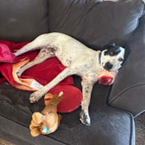 Thumbnail photo of Ruger #2