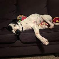 Thumbnail photo of Ruger #3