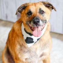 Thumbnail photo of Eddie #1