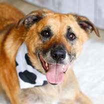 Thumbnail photo of Eddie #2