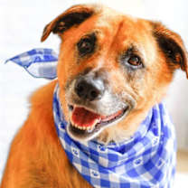 Thumbnail photo of Eddie #4