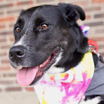 Thumbnail photo of Codie #3