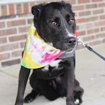 Thumbnail photo of Codie #4
