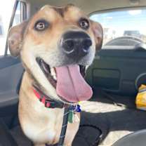 Thumbnail photo of Casey #2