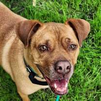 Thumbnail photo of Vincent #1