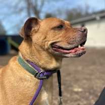 Thumbnail photo of Vincent #4