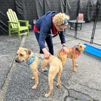 Thumbnail photo of Melon #4