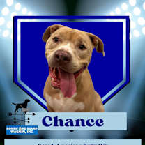 Thumbnail photo of Chance #4