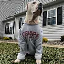 Thumbnail photo of Goober #3