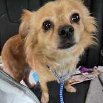 Thumbnail photo of Jerry #2