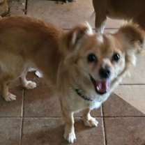 Thumbnail photo of Jerry #3