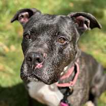 Thumbnail photo of Cassie #1