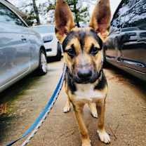 Thumbnail photo of Clarence #4