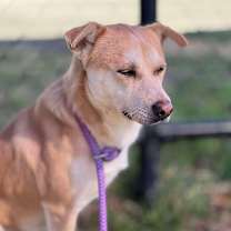 Thumbnail photo of Frank #2