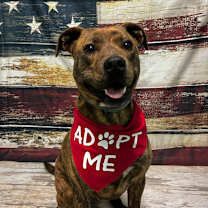 Thumbnail photo of Trooper #1