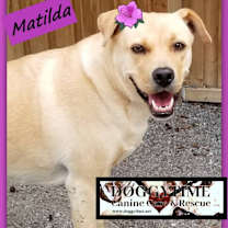 Thumbnail photo of MATILDA #1
