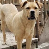 Thumbnail photo of MATILDA #2