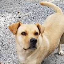 Thumbnail photo of MATILDA #3