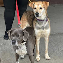 Thumbnail photo of Bubba & Sandy #1